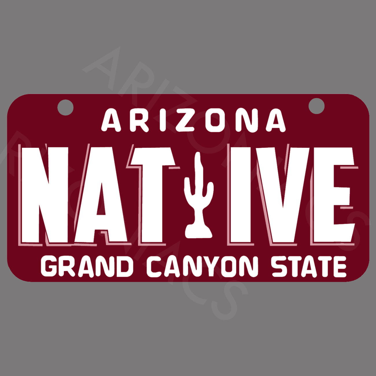 Arizona Native License Plate